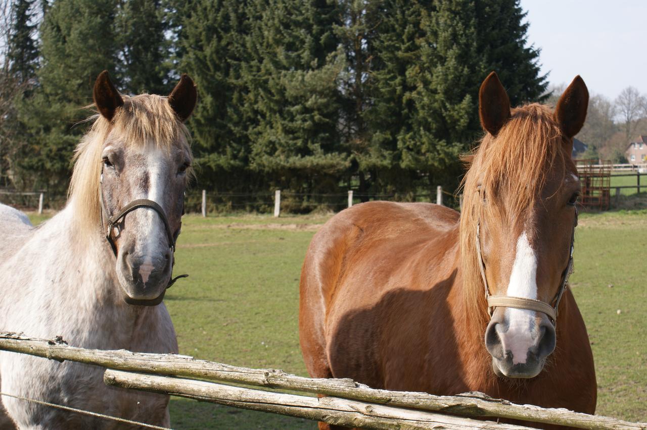 Landgasthaus Zum Naturschutzpark ビスピンゲン エクステリア 写真